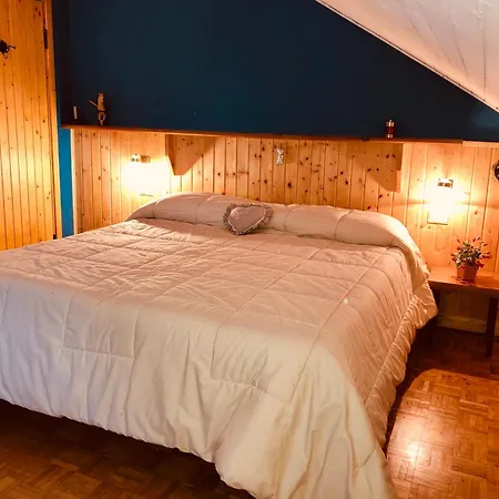 Guesthost - Les Pies Sur Le Pistes - Cozy In