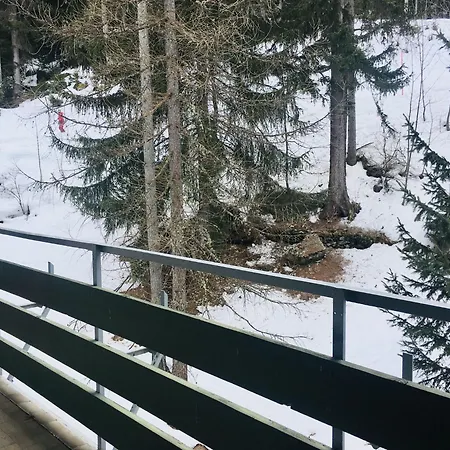 Guesthost - Les Pies Sur Le Pistes - Cozy In *