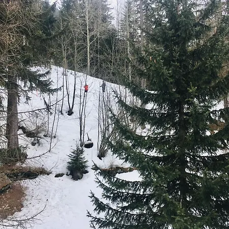 Guesthost - Les Pies Sur Le Pistes - Cozy In